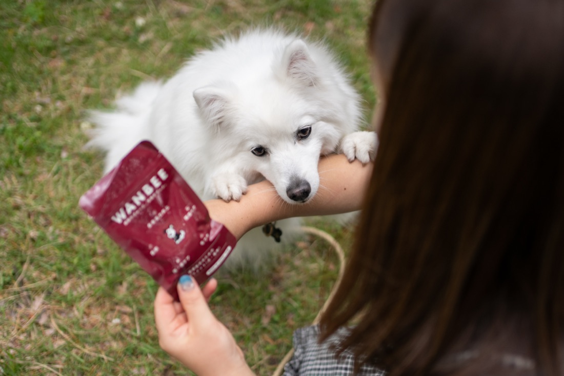 愛犬と寄り添う飼い主