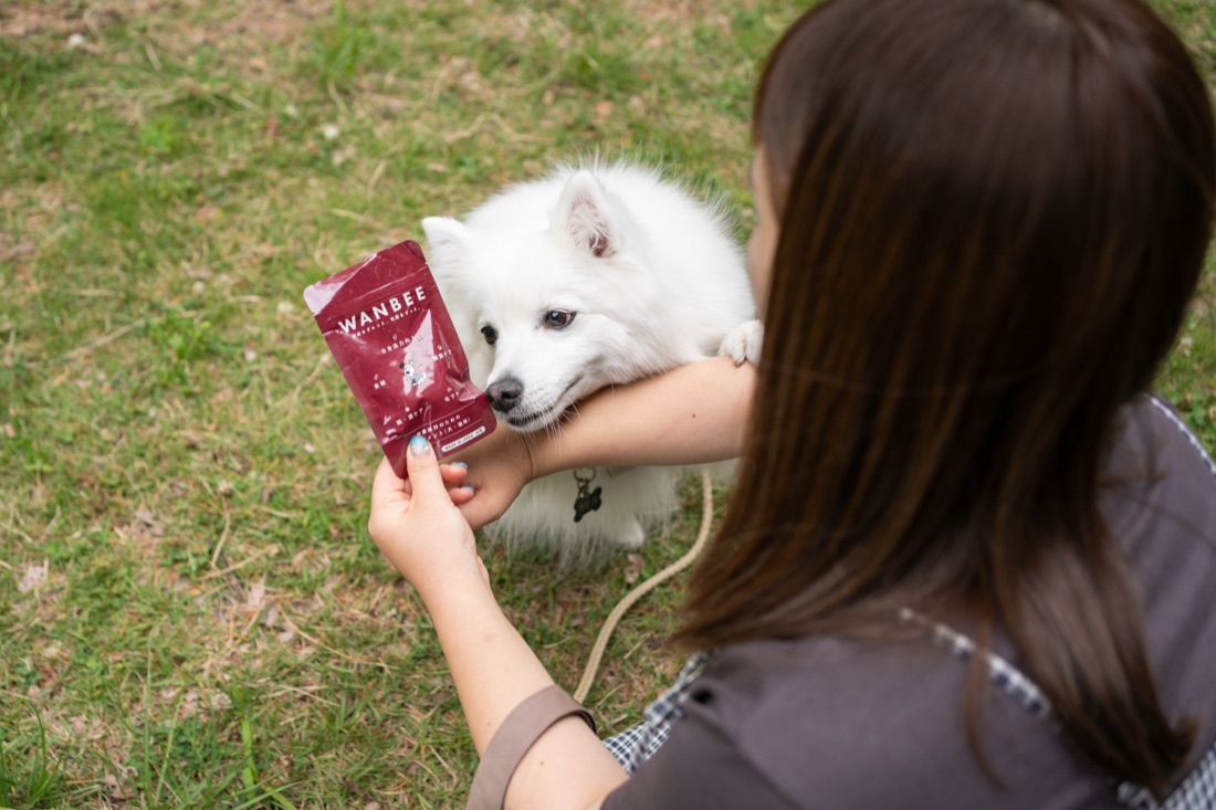 愛犬と過ごすひととき
